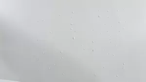 Farba silikatowa do wnętrz