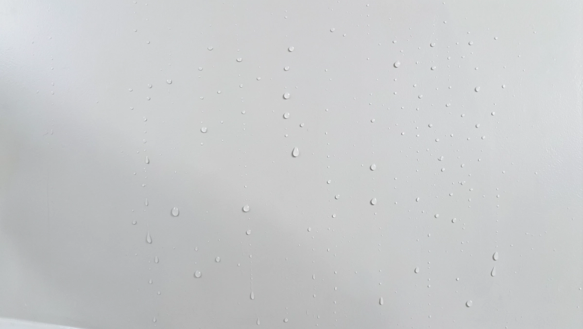 Farba silikatowa do wnętrz