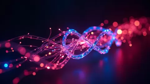 Co to jest światłowód internet